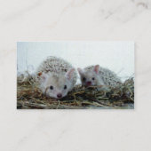Egels als gezelschapsdieren visitekaartje (Achterkant)