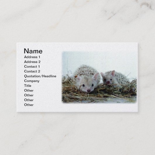 Egels als gezelschapsdieren visitekaartje (Voorkant)