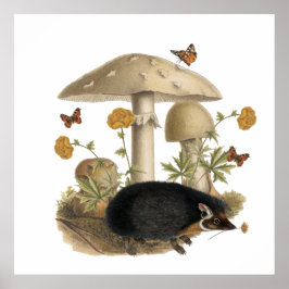 Egelschaapje Botanische Illustratie Collage Poster