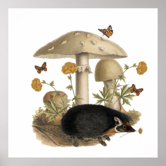 Egelschaapje Botanische Illustratie Collage Poster (Voorkant)