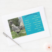 Egg Carton Label (Envelop)