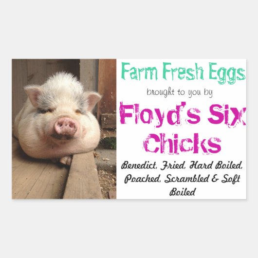 Egg Carton Sticker (Voorkant)