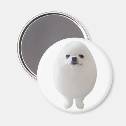 Egg Dog Magnet (Voorkant / Achterkant)