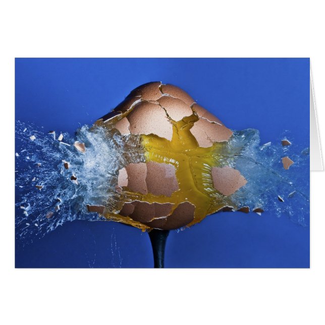 Eggceptioneel (Voorkant Horizontaal)