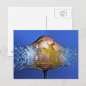 Eggceptioneel Briefkaart (Voorkant / Achterkant)