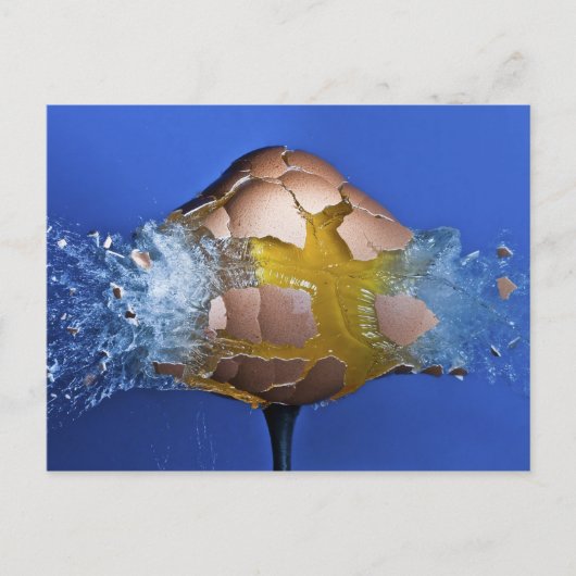 Eggceptioneel Briefkaart (Voorkant)