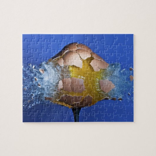 Eggceptioneel Legpuzzel (Horizontaal)