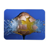 Eggceptioneel Magneet (Horizontaal)