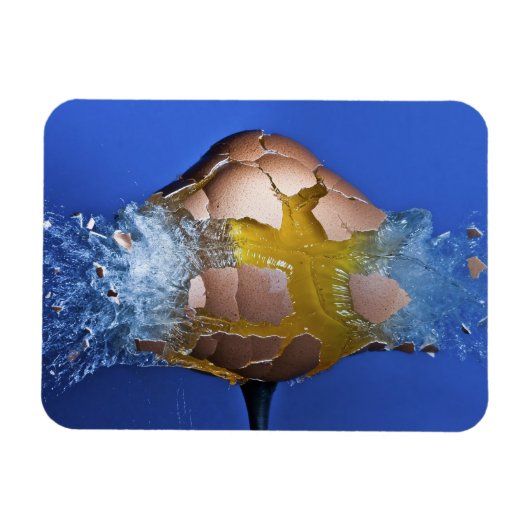 Eggceptioneel Magneet (Horizontaal)