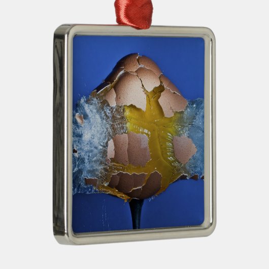 Eggceptioneel Metalen Ornament (Rechts)