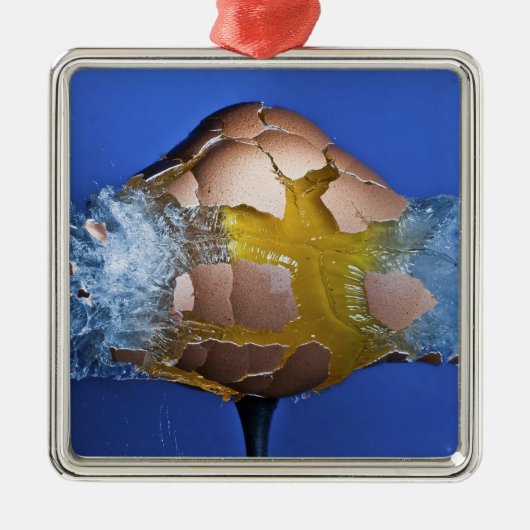 Eggceptioneel Metalen Ornament (Voorkant)