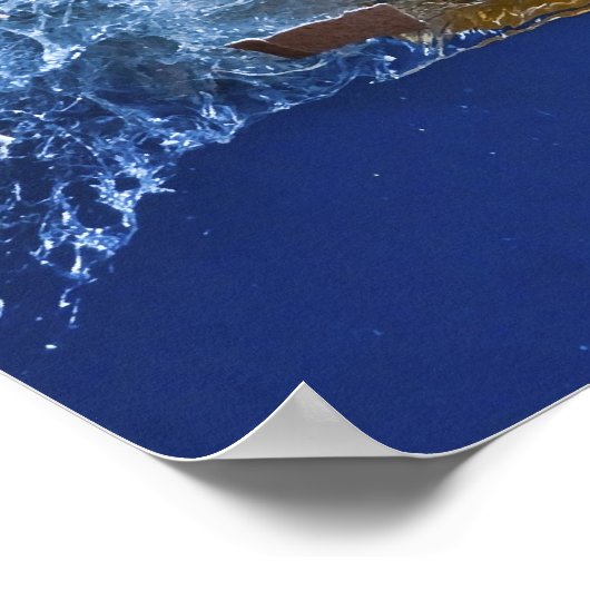 Eggceptioneel Poster (Hoek)