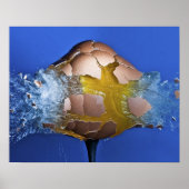 Eggceptioneel Poster (Voorkant)