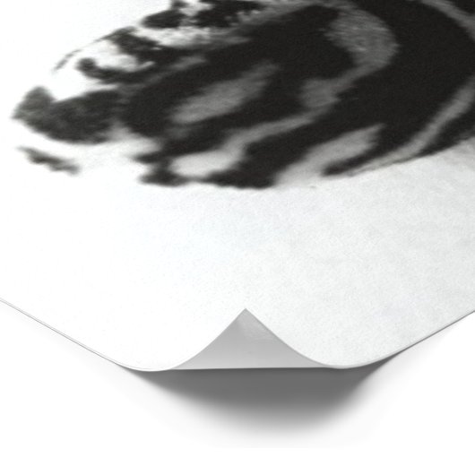 Eggceptioneel Poster (Hoek)