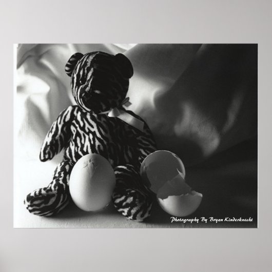 Eggceptioneel Poster (Voorkant)