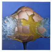 Eggceptioneel Tegeltje (Voorkant)