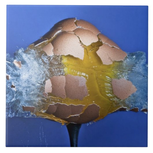 Eggceptioneel Tegeltje (Voorkant)