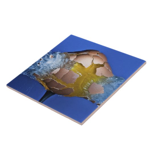 Eggceptioneel Tegeltje (Zijkant)