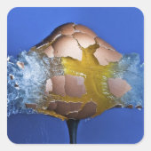 Eggceptioneel Vierkante Sticker (Voorkant)