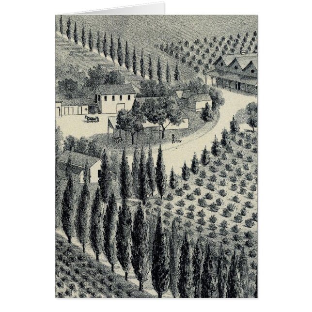 Eggers Vineyard, Fresno (Voorkant)