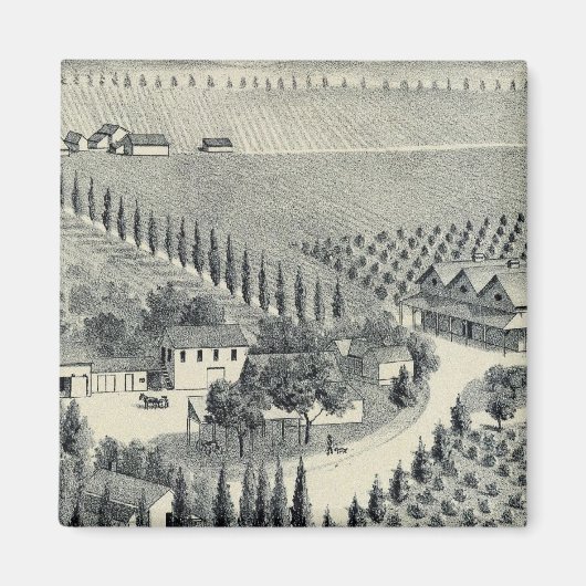 Eggers Vineyard, Fresno Magneet (Voorkant)