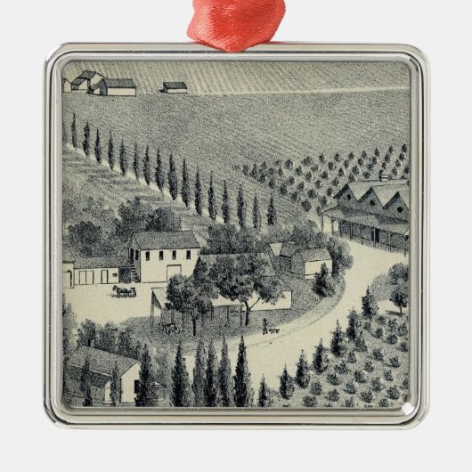 Eggers Vineyard, Fresno Metalen Ornament (Voorkant)