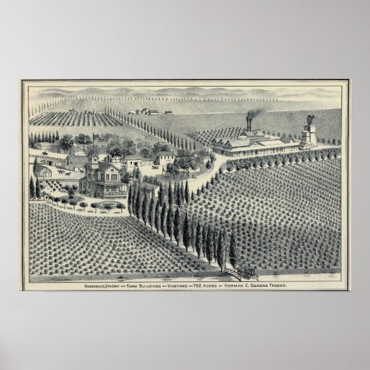 Eggers Vineyard, Fresno Poster (Voorkant)