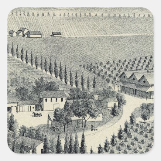 Eggers Vineyard, Fresno Vierkante Sticker (Voorkant)