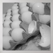 eggies Poster (Voorkant)