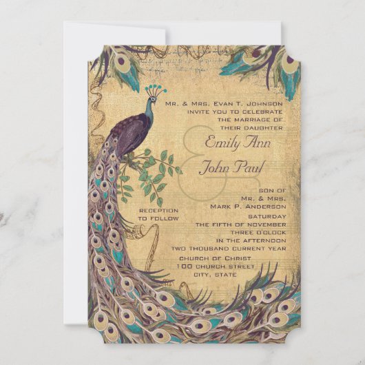 Eggplant Aqua Peacock 3 Veters Kaart (Voorkant)