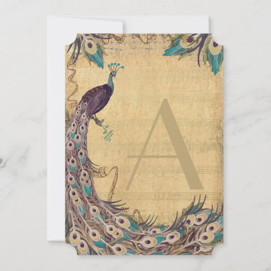 Eggplant Aqua Peacock  3 Veters Kaart (Achterkant)