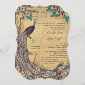 Eggplant Aqua Peacock 3 Veters Kaart (Voorkant / Achterkant)