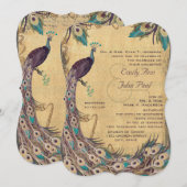 Eggplant Aqua Peacock  3 Veters Kaart (Voorkant / Achterkant)