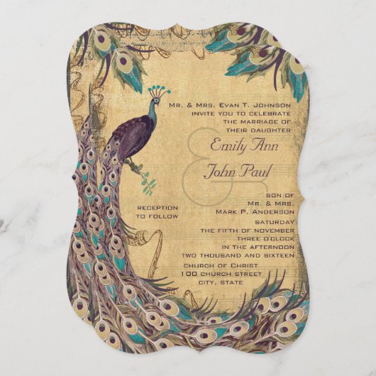 Eggplant Aqua Peacock  3 Veters Kaart (Voorkant / Achterkant)