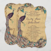 Eggplant Aqua Peacock 3 Veters Kaart (Voorkant / Achterkant)