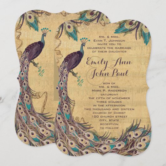 Eggplant Aqua Peacock  3 Veters Kaart (Voorkant / Achterkant)