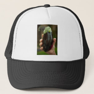 Eggplant/eierplant Pet
