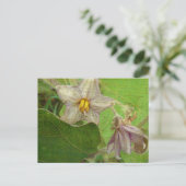 Eggplant Flowers Briefkaart (Staand voorkant)