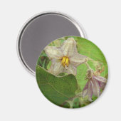 Eggplant Flowers Magneet (Voorkant / Achterkant)