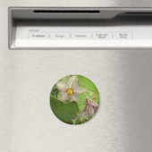 Eggplant Flowers Magneet (Insitu (Vaatwasser))