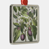 Eggplant: Melanzana fructu pallido uit de "Hor" Metalen Ornament (Rechts)