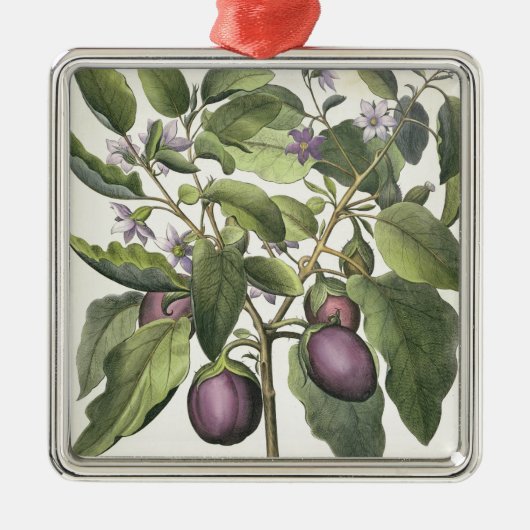 Eggplant: Melanzana fructu pallido uit de "Hor" Metalen Ornament (Voorkant)
