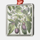 Eggplant: Melanzana fructu pallido uit de "Hor" Metalen Ornament (Links)