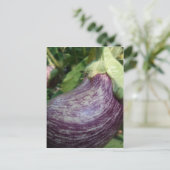 Eggplant Veggie Briefkaart (Staand voorkant)