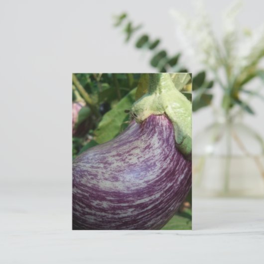 Eggplant Veggie Briefkaart (Staand voorkant)