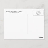 Eggplanten Briefkaart (Achterkant)