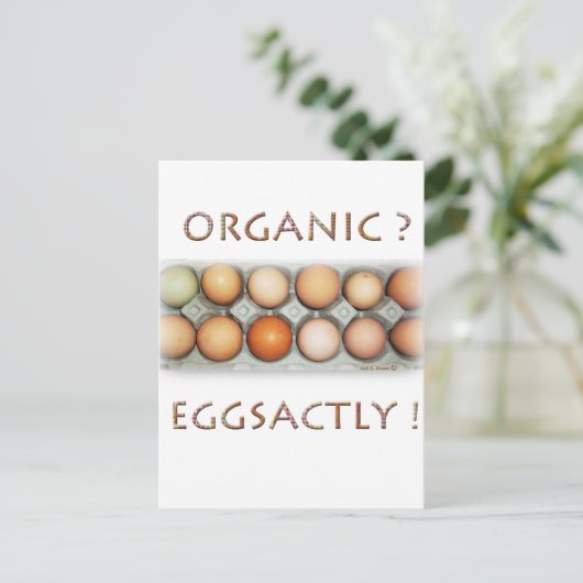 EGGSACTLY BRIEFKAART (Staand voorkant)