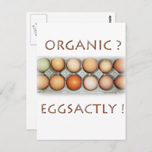 EGGSACTLY BRIEFKAART (Voorkant / Achterkant)