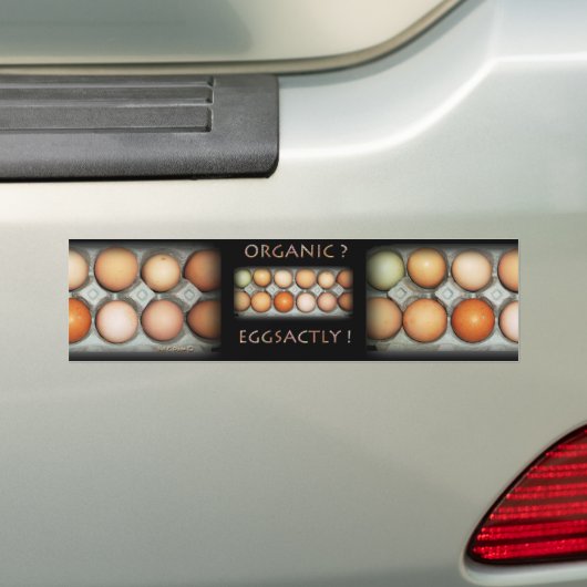 EGGSACTLY BUMPERSTICKER (Op auto)