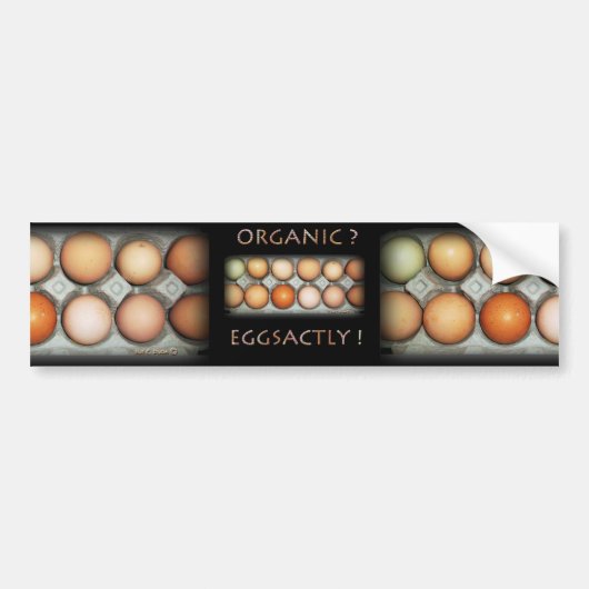 EGGSACTLY BUMPERSTICKER (Voorkant)